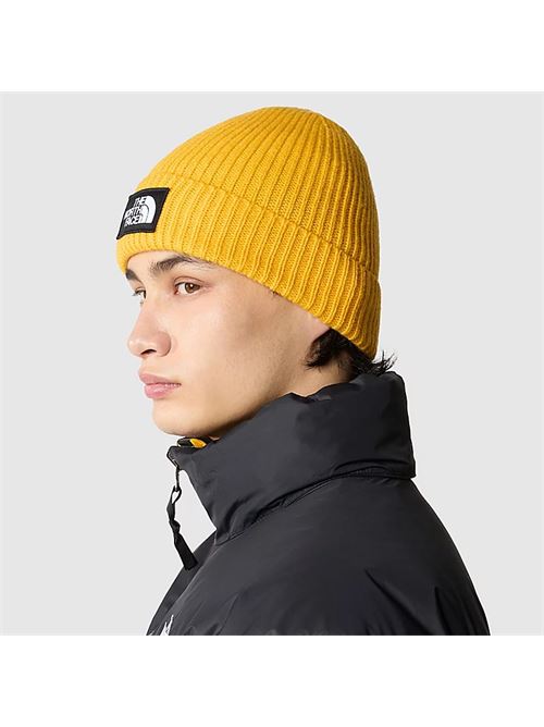 tnf logo box cuffed beanie THE NORTH FACE | NF0A3FJX56P1